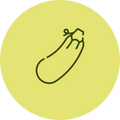 Zucchini